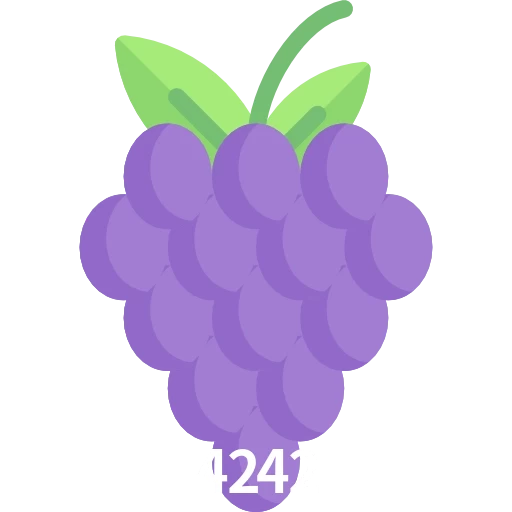 4242